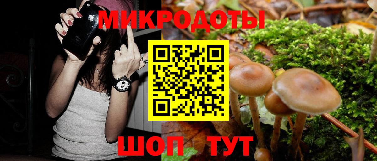 Галлюциногенные грибы Magic Shrooms Свободный